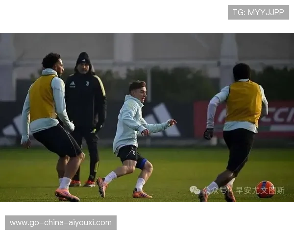 本菲卡锁定哈兰德式中锋，开启欧洲锋线新纪元